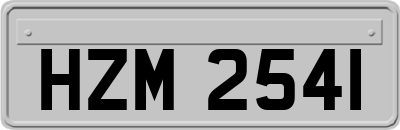 HZM2541