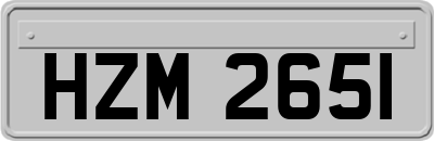 HZM2651
