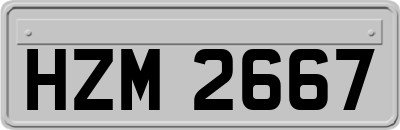 HZM2667