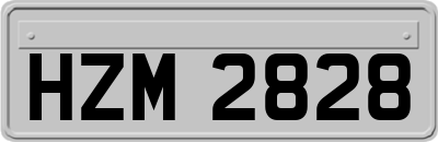 HZM2828