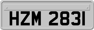 HZM2831