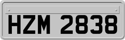 HZM2838