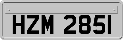 HZM2851