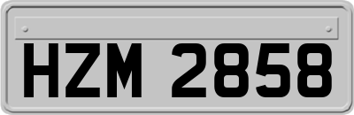 HZM2858