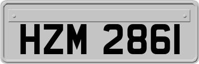 HZM2861