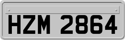 HZM2864