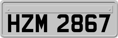 HZM2867