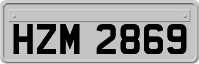 HZM2869