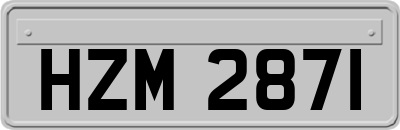 HZM2871