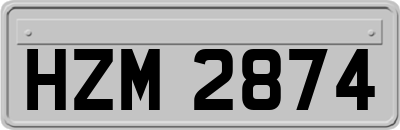 HZM2874