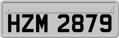 HZM2879