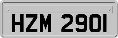 HZM2901