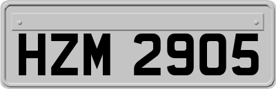 HZM2905