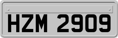 HZM2909