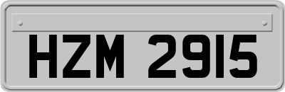HZM2915