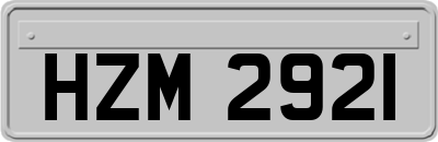 HZM2921
