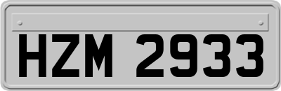HZM2933