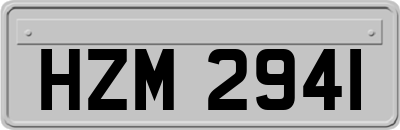HZM2941