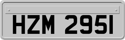 HZM2951