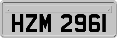 HZM2961