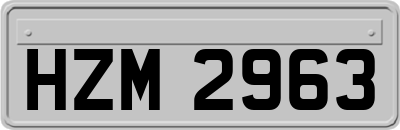 HZM2963