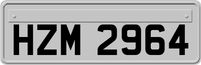HZM2964