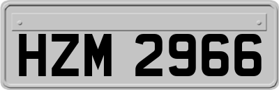 HZM2966