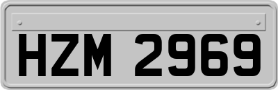 HZM2969