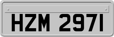 HZM2971