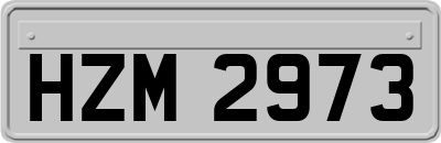 HZM2973
