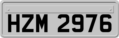 HZM2976
