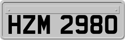 HZM2980