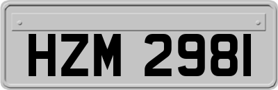 HZM2981