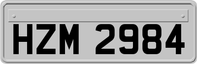 HZM2984