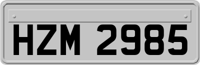 HZM2985