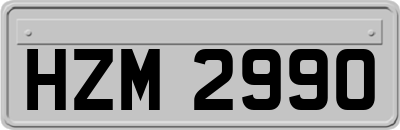HZM2990