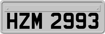 HZM2993