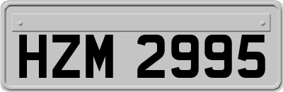 HZM2995
