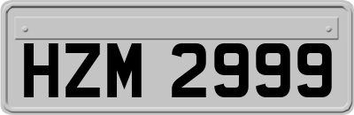 HZM2999