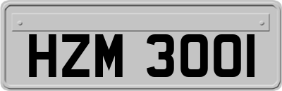 HZM3001