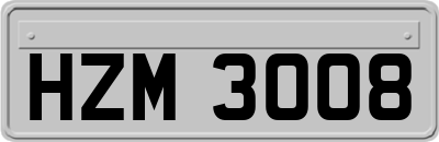 HZM3008
