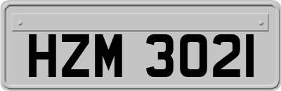 HZM3021