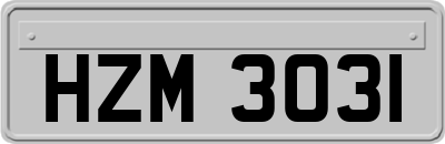 HZM3031