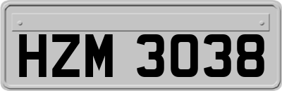 HZM3038