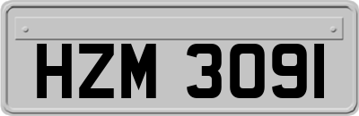 HZM3091