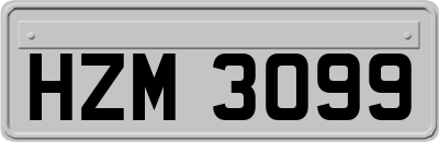 HZM3099