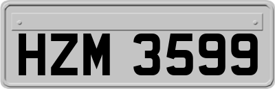 HZM3599