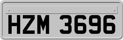 HZM3696
