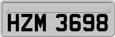 HZM3698