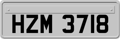 HZM3718